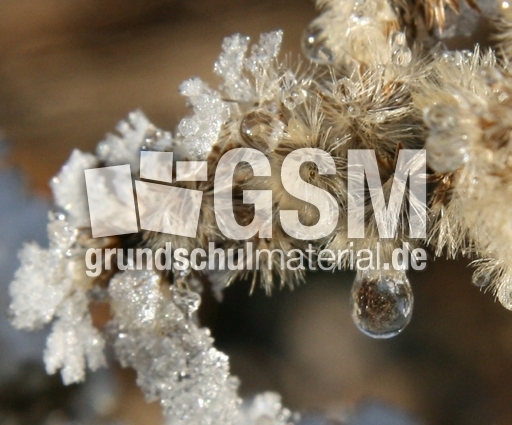 Winterimpressionen 002.jpg